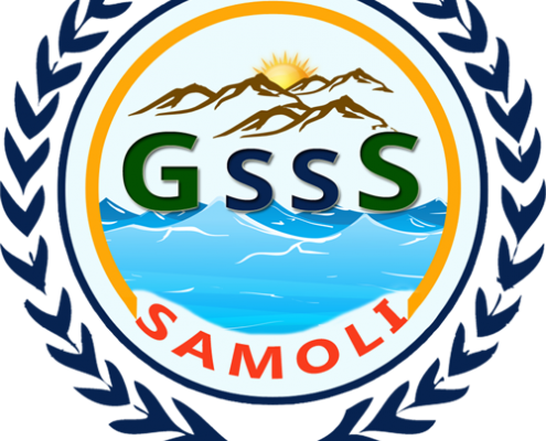 School Samoli
